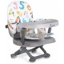 Kiwi Booster Seat 123