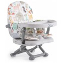 Kiwi Booster Seat ABC