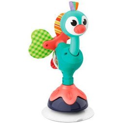 hola cute peacock