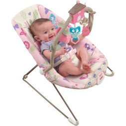 Comfy Time Bouncer