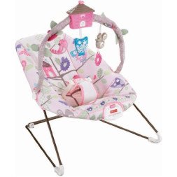 Comfy Time Bouncer